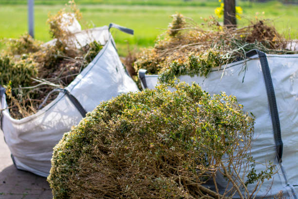 Best Junk Removal Near Me  in Plymouth, OH